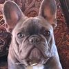 runwayfrenchie